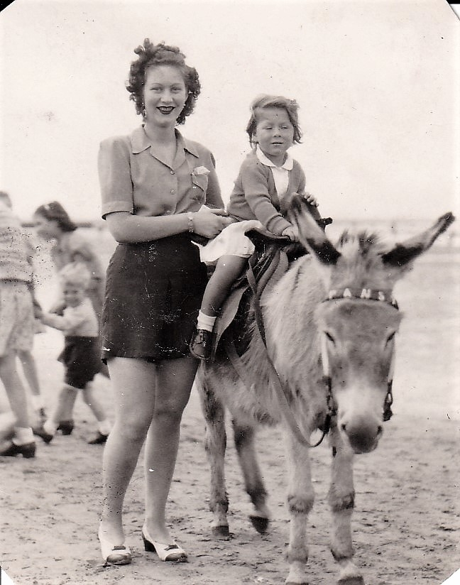 Donkeys gainfully employed