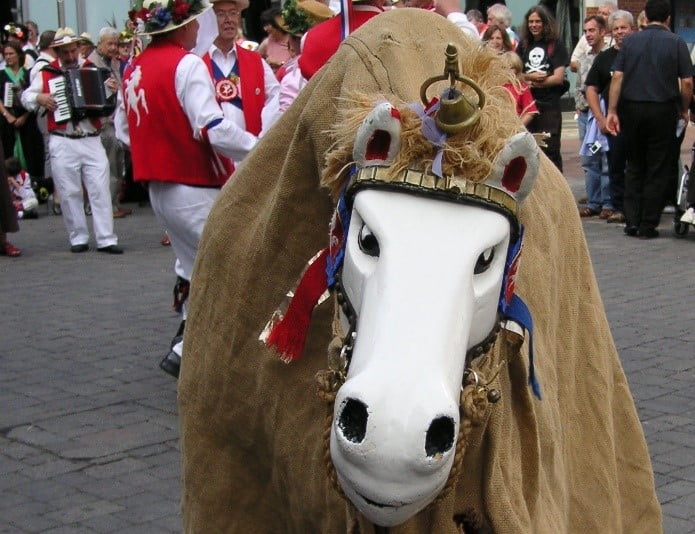 New horse